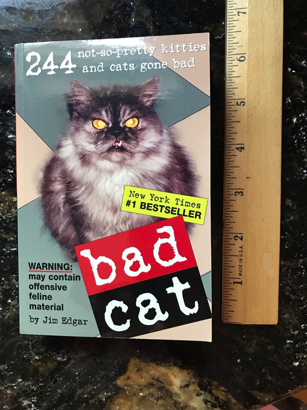 Bad Cat Book - Picture 4 of 10